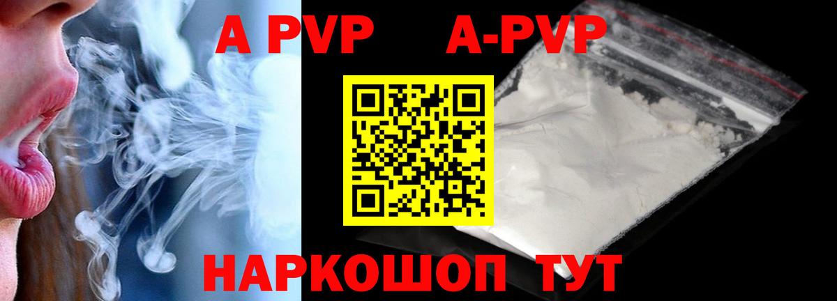 Альфа ПВП СК Прокопьевск
