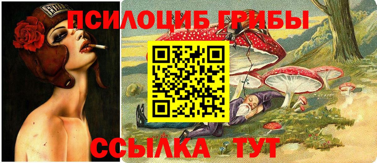 Галлюциногенные грибы GOLDEN TEACHER Прокопьевск